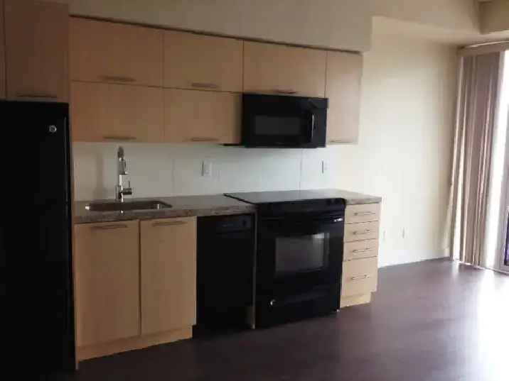 Luxury Condo 1 Bedroom For Rent in Downtown Toronto