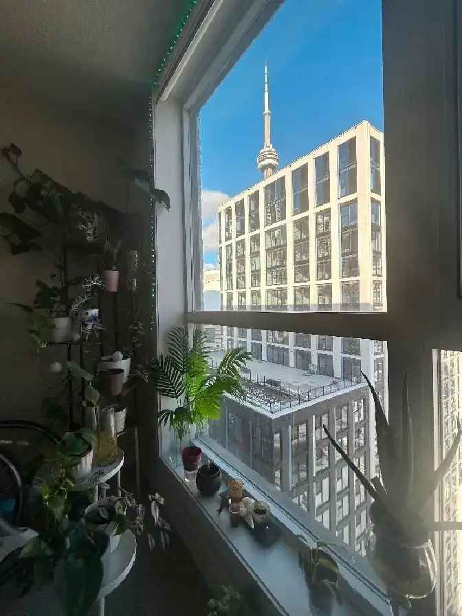 Room in Waterfront for $1100, move in Feb 1st or Feb 15th!