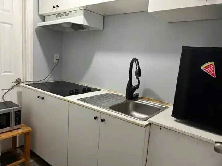 1B1B Furnished Basement Suite Near Southgate Mall LRT