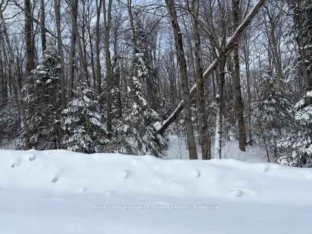 5.49 Acre Lot Huntsville Bracebridge Privacy Hwy 11 Access