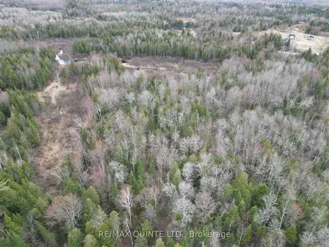 63 Acres Country Property For Sale - Build Your Dream Home