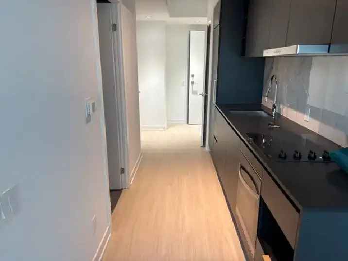 Downtown Yonge Bachelor Condo Luxury Suite