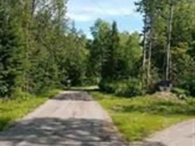 Riverside Pines Building Lot - Crowe River Access