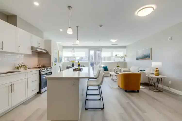 Luxury Downtown Guelph Lofts - 1 & 1+ Den Suites