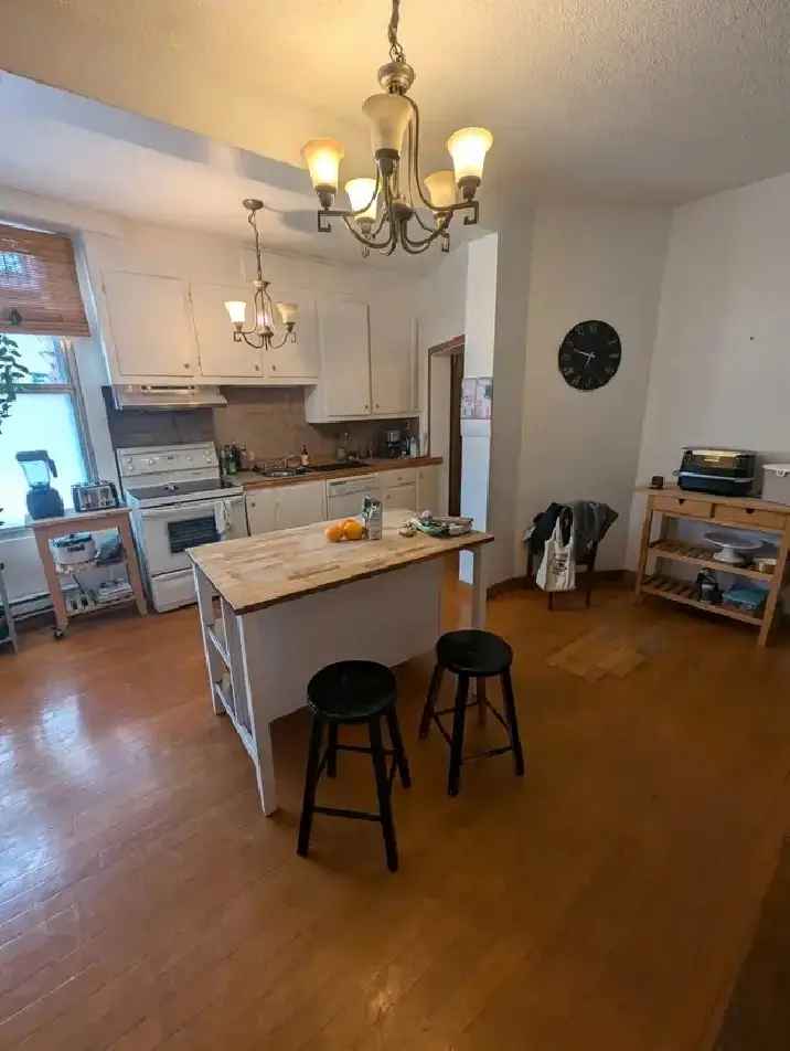Large 4 1/2 Apartment for Rent in Vieux-Rosemont Montreal