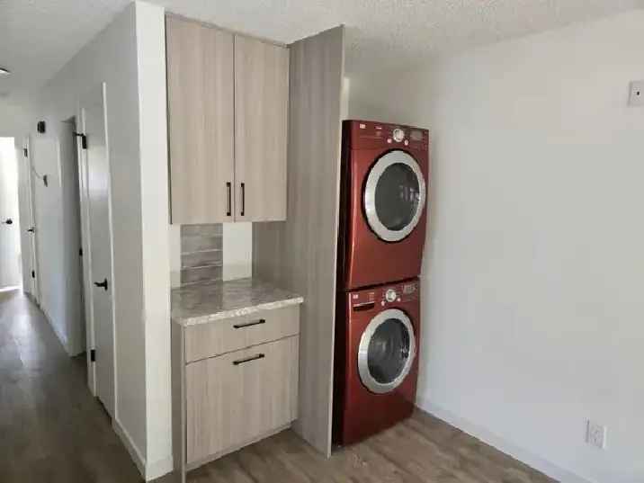 Pet Friendly Newly Renovated 3 Bdrm Westend Suite for Rent