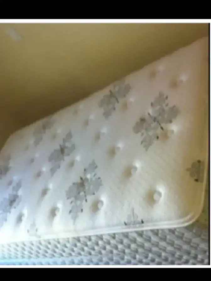 Furnished Room Rental Near Kingsway Mall NAIT Royal Alex