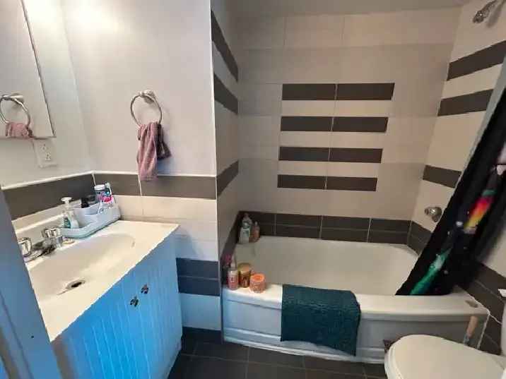 Lease Transfer 1 Bedroom Downtown Montreal Apartment June 2025