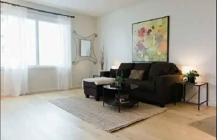 Rent Upscale Furnished Downtown Condo with Amenities and Views