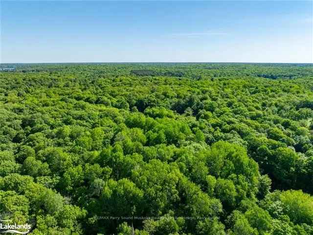 10 Acre Building Lot in Seguin Township