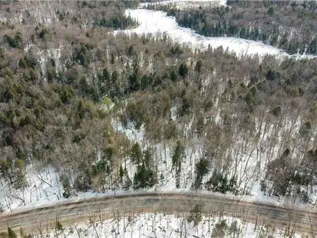 Build Your Muskoka Dream Home on This Scenic 2-Acre Lot