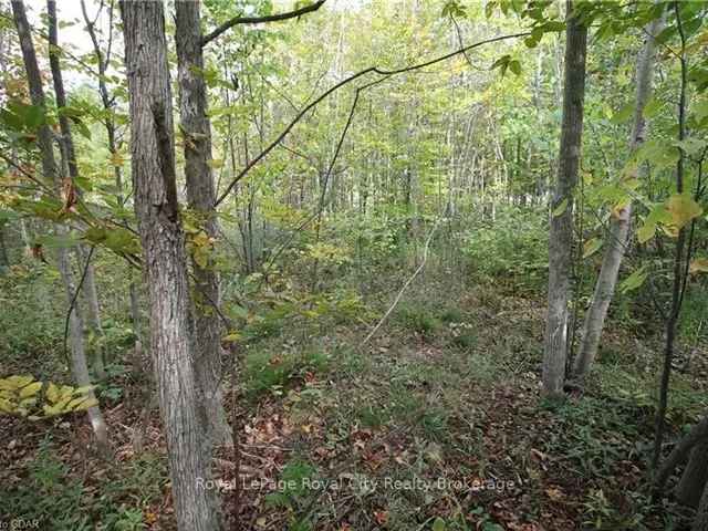 Land For Sale in Municipality of Northern Bruce Peninsula, Ontario