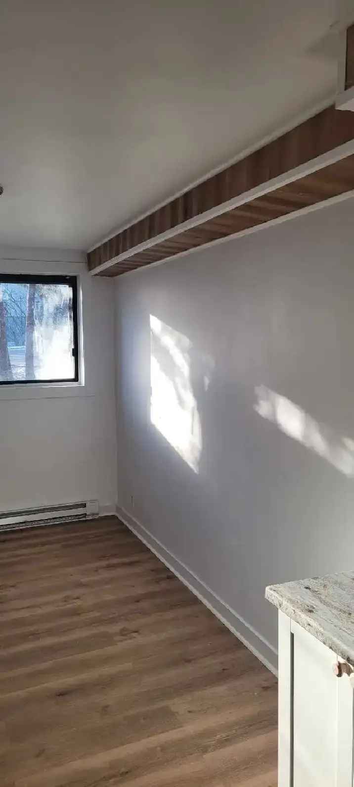 Renovated 3 1 2 Apartment Near Maisonneuve-Rosemont Hospital