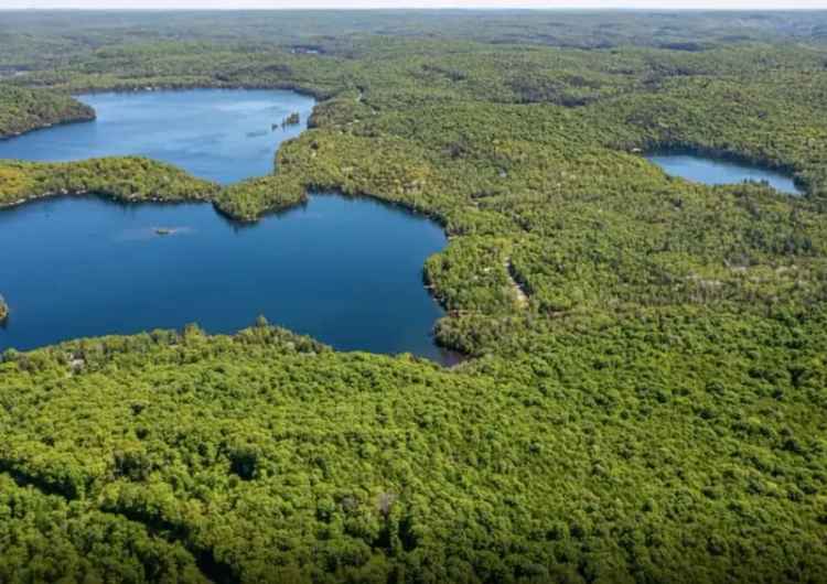 This 103-Acre Waterfront Lot In Cottage Country Costs Less Than A Toronto Condo