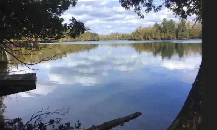 ( RARE ) 150 acres avec bord de L’eau , 1Hr nord de Montreal