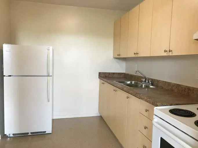 Rent 1 Bedroom Apartment in Hamilton with Modern Amenities