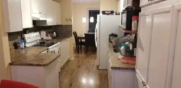 Kanata North furnished room for rent - Dec 1st