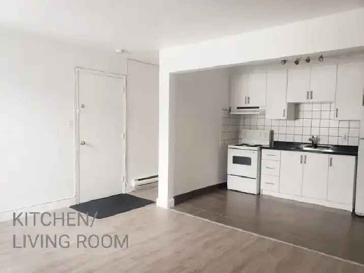 LARGE 1 BEDROOM APARTMENT