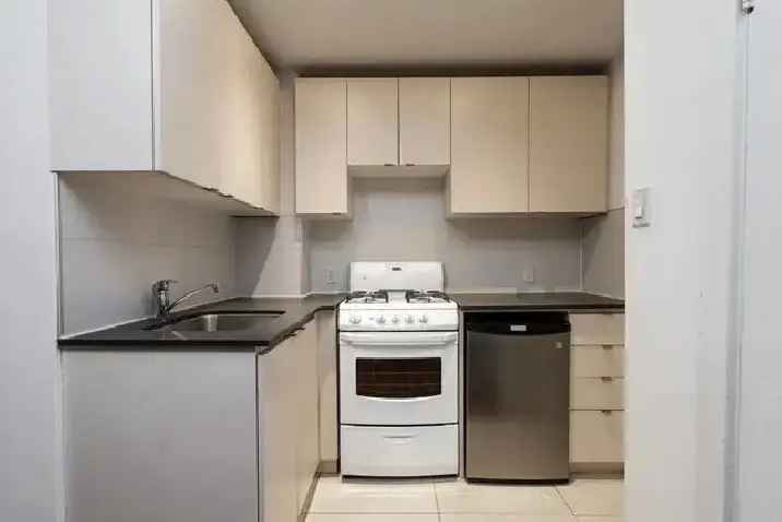 Renovated bachelor, College and Spadina - ID 2843