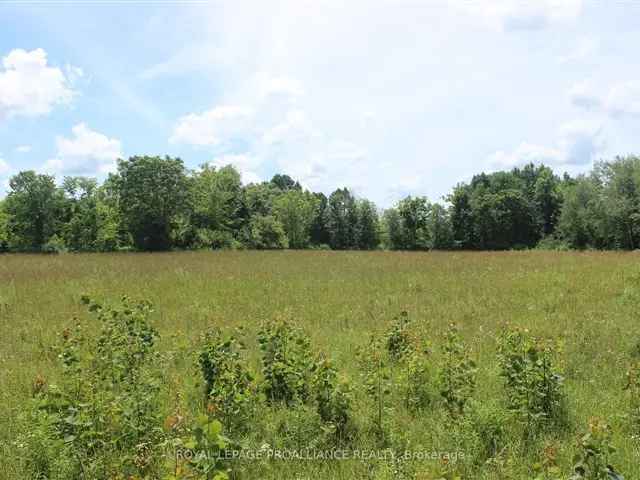 5-Acre Lot for Sale - Build Your Dream Home