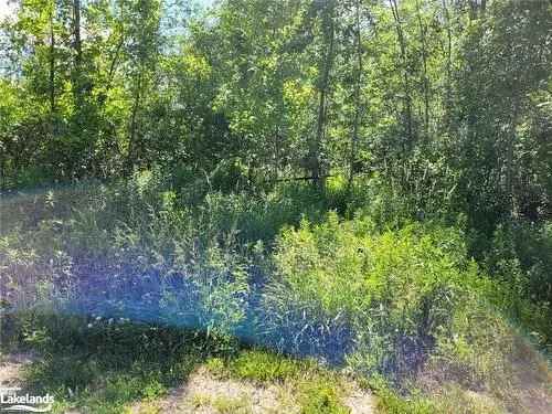 Vacant Land For Sale In Collingwood, Ontario