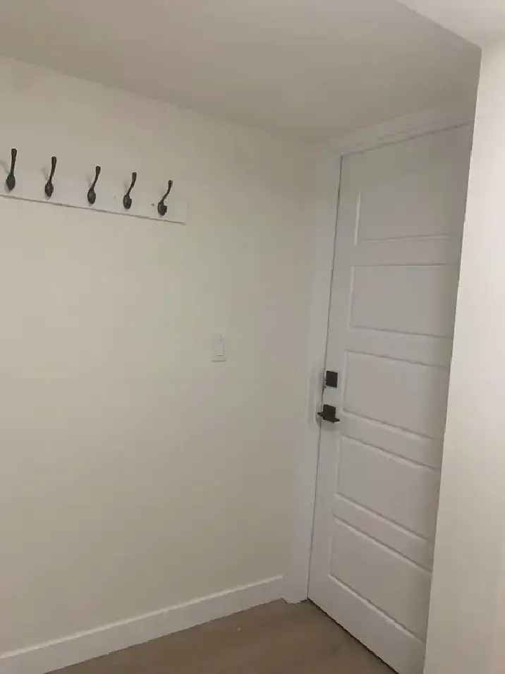 1 Bedroom Legal Basement Suite in Edgemont West Edmonton