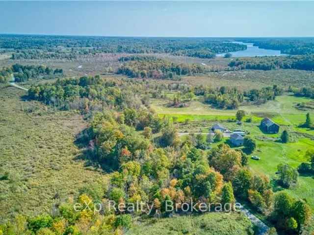 34 Acres of Natural Beauty in Land O Lakes - Your Perfect Country Haven