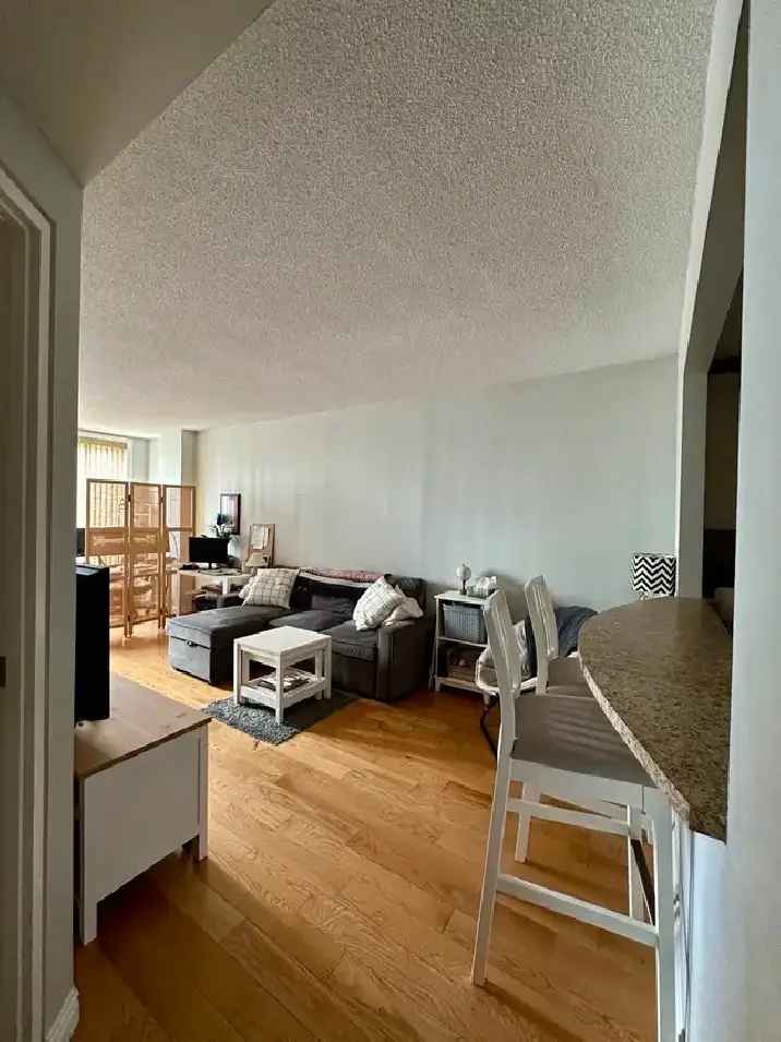 Pet-Friendly Jr Condo Downtown Halifax Harbour Views!