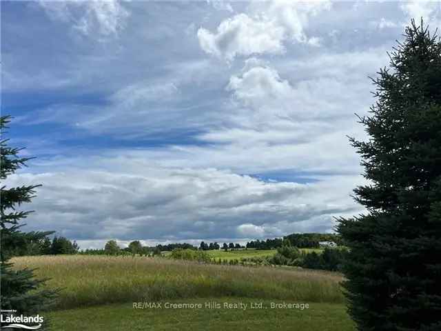 41 Acres Custom Bungalow In-Ground Pool Outbuilding Creemore