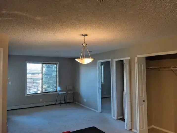 Modern 2 Bed 2 Bath Rutherford Condo Near Amenities