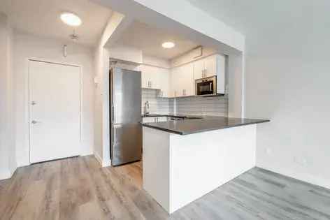 1 room apartment of 56 m² in Montreal