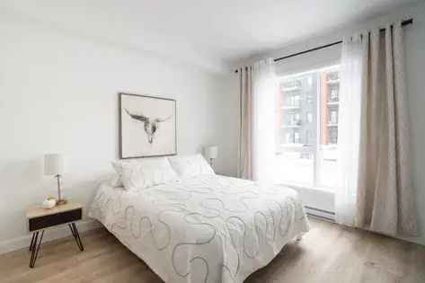 1 room apartment of 67 m² in Quebec