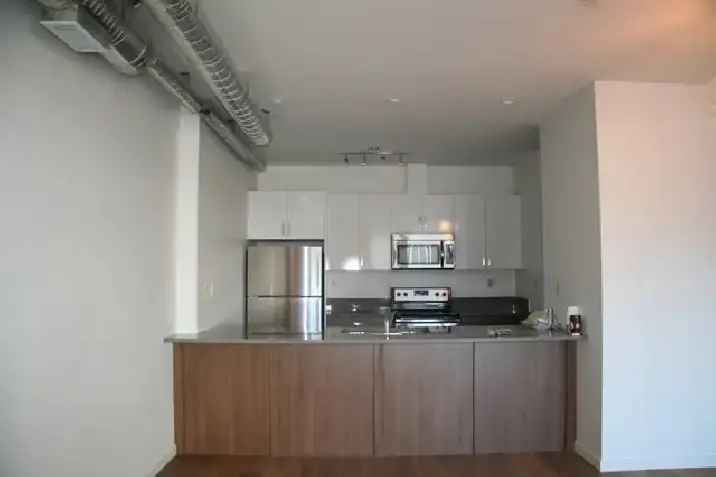 Large Loft Apartment near 124 Street - Balcony - AC - Pet Friendly