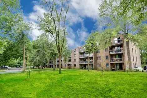 1 room apartment of 55 m² in Montreal