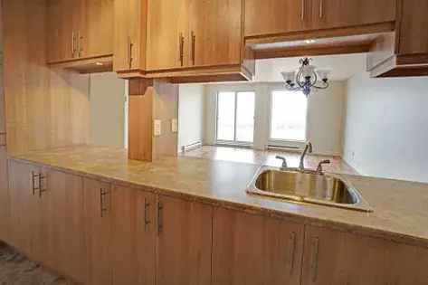 4 Room 96m² Apartment in Quebec Plateau des Dominicaines