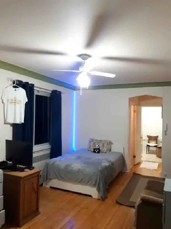 Studio Apartment walking distance to McGill university, Mi