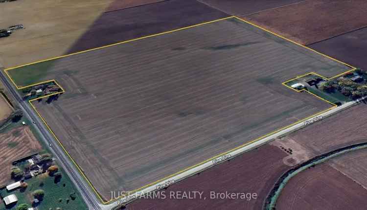 Buy Agricultural Land 65 Acres in Chatham Area with Prime Soil