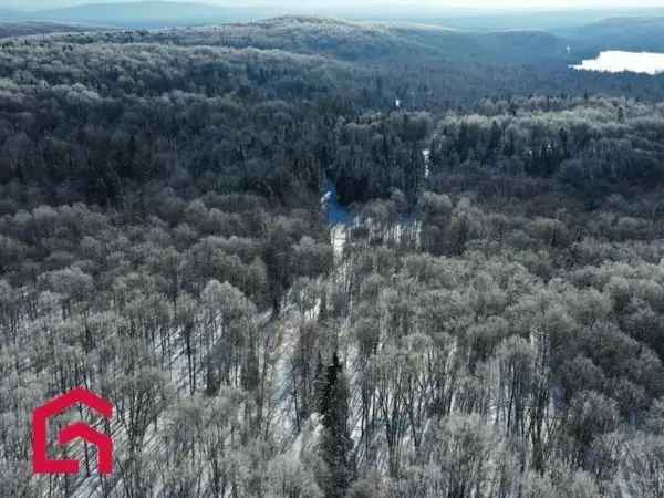 2-Bedroom Rustic House on 26 Acres with Private Lake and Sugar Shack