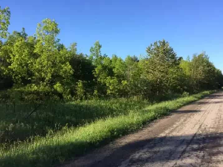 59 Acres Near Brockville Ontario
