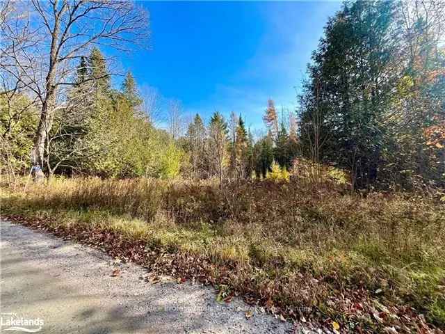 172 Acre Lot in Haliburton County - Peaceful Countryside Escape