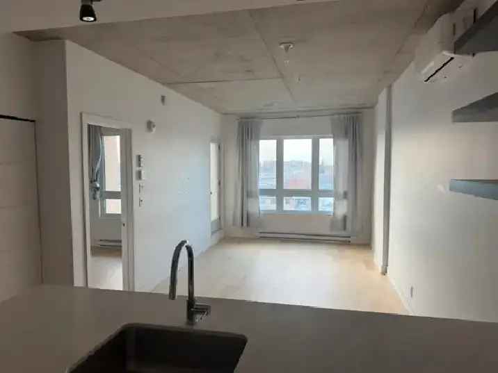 Modern 3.5 Apartment in Saint Leonard for rent.