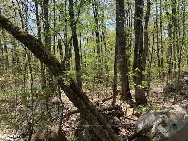 Land For Sale in Ryerson Township, Ontario