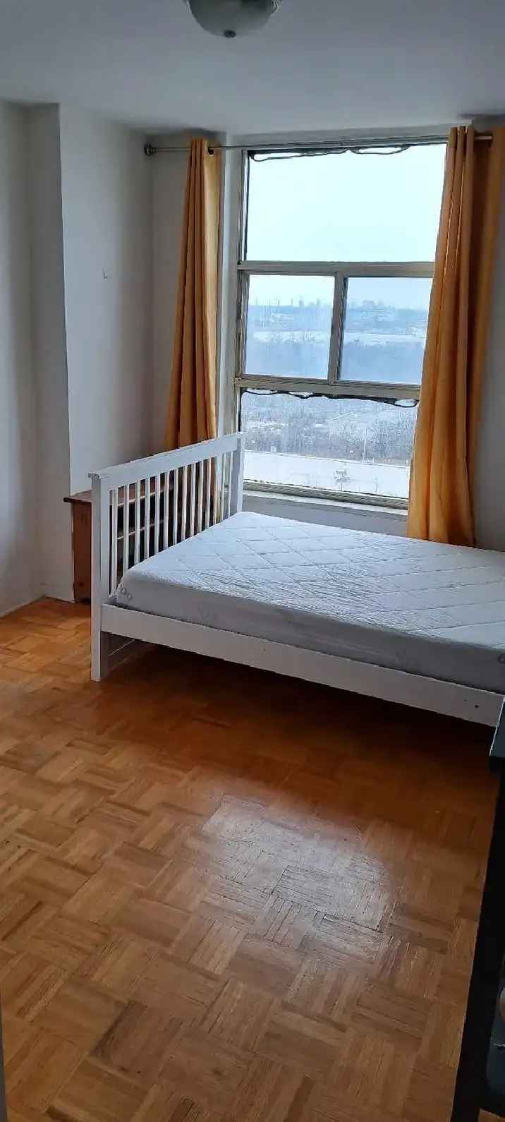 room for rent in lux apartment $950