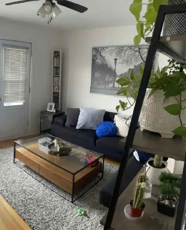 Rent 4 ½ Apartment in Ahuntsic with Spacious Bedrooms and Balcony