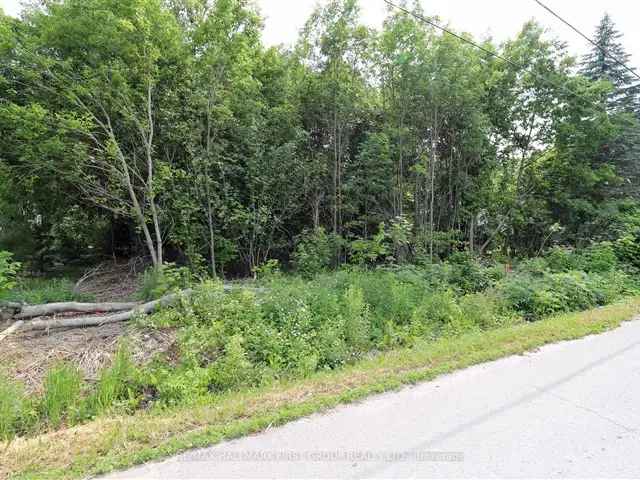 Waterfront Building Lot in Tweed ON - Near Amenities