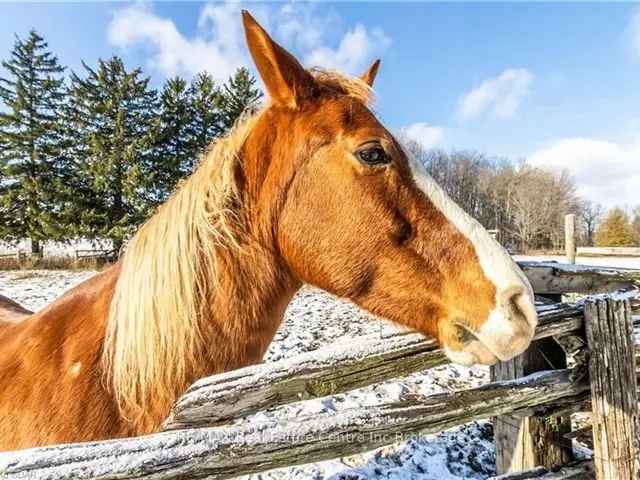 4-Bed 2-Bath Country Home on 40 Acres with Horse Barn