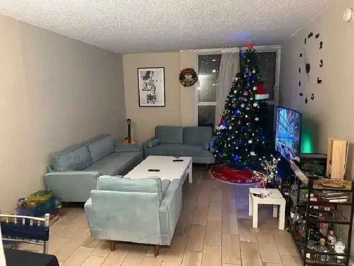 3 1/5 apartment for rent heart of downtown Montreal