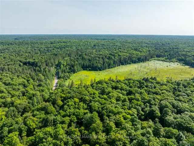 Land For Sale in Muskoka Lakes Township, Ontario