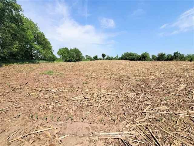 157 Acre Farm Land Investment Opportunity Near Madoc