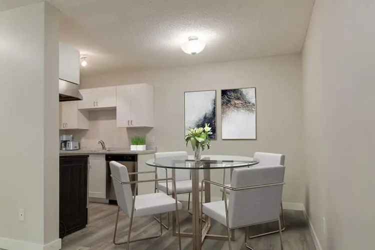 Rent Apartment in Edmonton with Pet Friendly Features and Modern Amenities